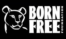 bornfree1